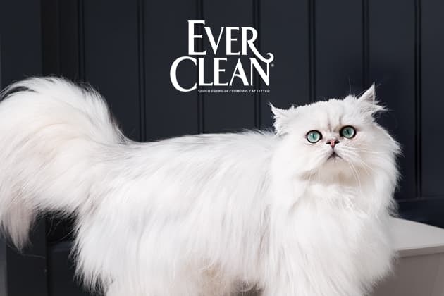 Премиальные наполнители Ever Clean