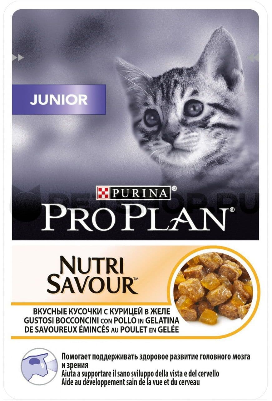 Корм Pro Plan Junior для котят курица в желе - 85 гр в Алматы и в Казахстане за 670 ₸