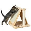 Когтеточки и площадки для Кошки в Алматы и в Казахстане