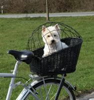 Устройства Велосипедная корзина для транспортировки собак до 12 кг плетеная - 35 х 49 х 55 см собак в Алматы и в Казахстане