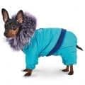 Костюм для собак в Алматы и в Казахстане