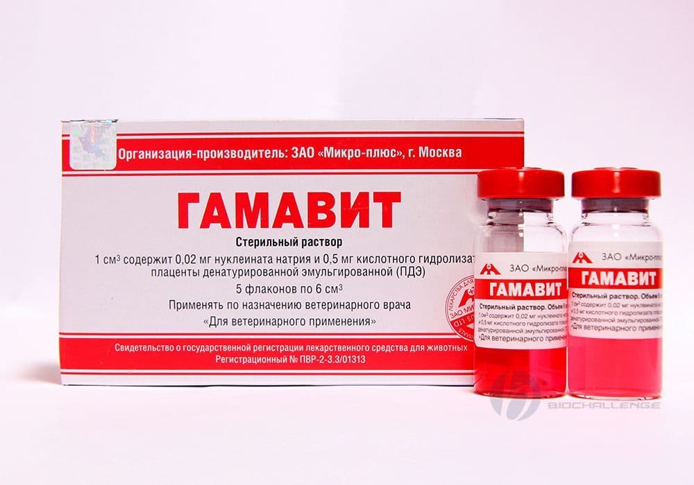 Гамавит, комплексный физиологически сбалансированный водный раствор - 1 ампула в Алматы и в Казахстане за 2 220 ₸