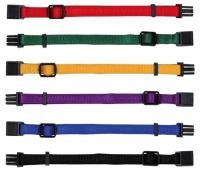 Ошейник для щенков цвет в ассортименте - 22 х 35 см для собак в Алматы и в Казахстане