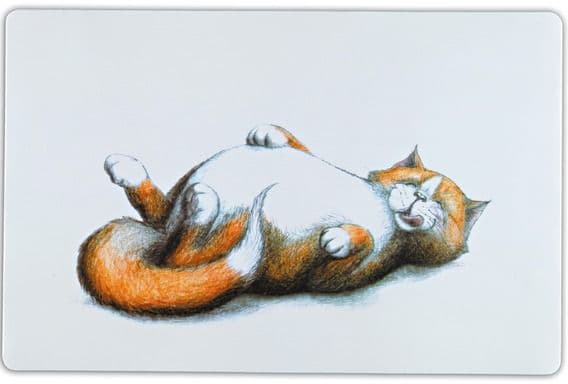 Пластиковый коврик для кошек на нескользящем дне - 44х28 см в Алматы и в Казахстане за 1 880 ₸