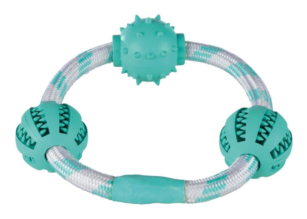 Игрушка кольцо Denta Fun для массажа десен собак - 20 см в Алматы и в Казахстане за 6 210 ₸