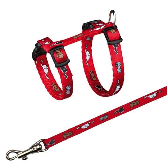 Шлейка с поводком для кошек и котят - 21-34см в Алматы и в Казахстане за 3 860 ₸