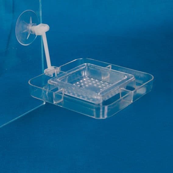 Квадратная пластиковая кормушка для рыб на присоске - 7х7 см в Алматы и в Казахстане за 700 ₸