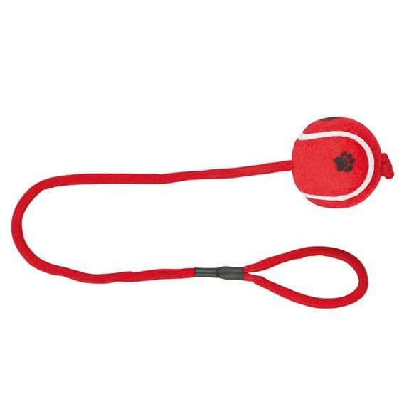 Игрушка теннисный мяч на веревке для собак - 6.5 см в Алматы и в Казахстане за 1 390 ₸