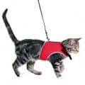 Шлейки + поводки для Кошки в Алматы и в Казахстане