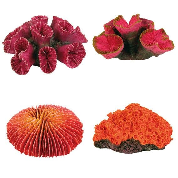 Декорация "Коралл" - 10-13 см в Алматы и в Казахстане за 3 570 ₸