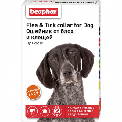 Ошейник Flea & Tick от блох и клещей для собак оранжевый - 65 см в Алматы и в Казахстане за 2 940 ₸