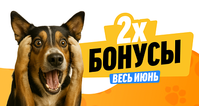 Удвоенные бонусы в Интернет-магазине!