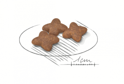 Корм Royal Canin Mini Adult для взрослых собак мелких пород - 8 кг в Алматы и в Казахстане за 46 900 ₸